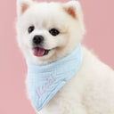 Awoofi Softwear™ - Bandana