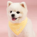 Awoofi Softwear™ - Bandana